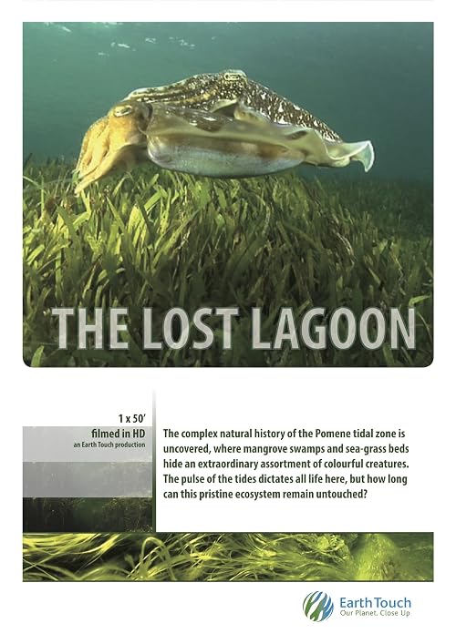 The Lost Lagoon