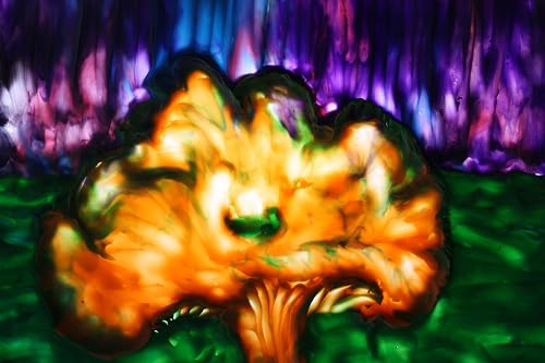 Chanterelle Rain