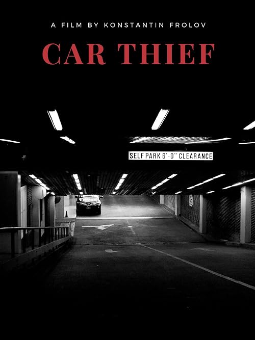 Car Thief