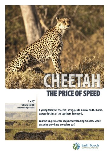 Cheetah: The Price of Speed