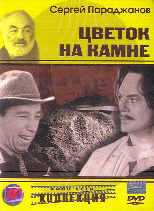 Квітка на камені