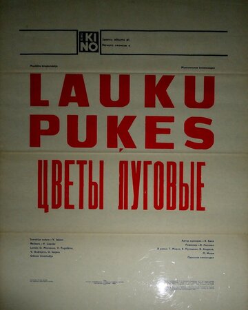 Цветы луговые