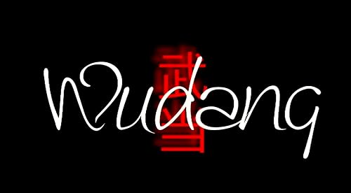 Wudang Taiji quan
