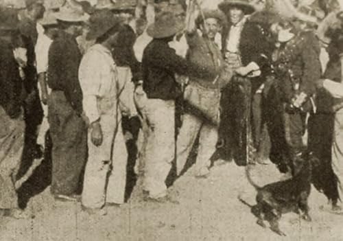 Under Fire in Mexico