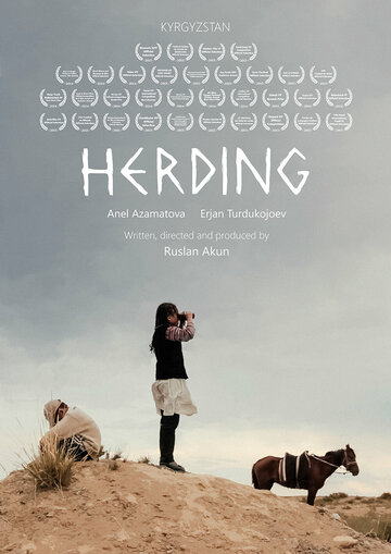 Herding