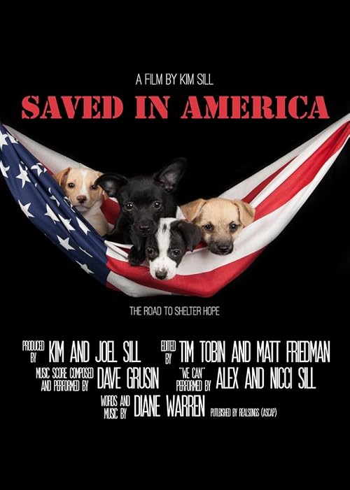 Saved in America