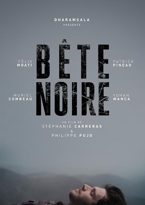 Bête noire