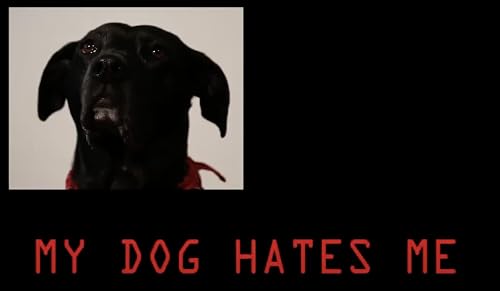My Dog Hates Me