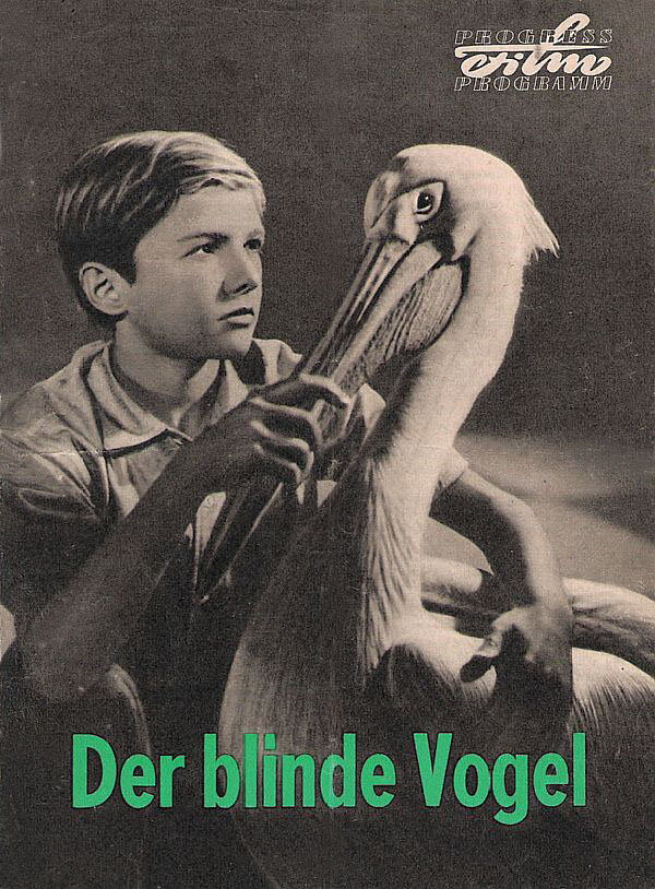 Der blinde Vogel