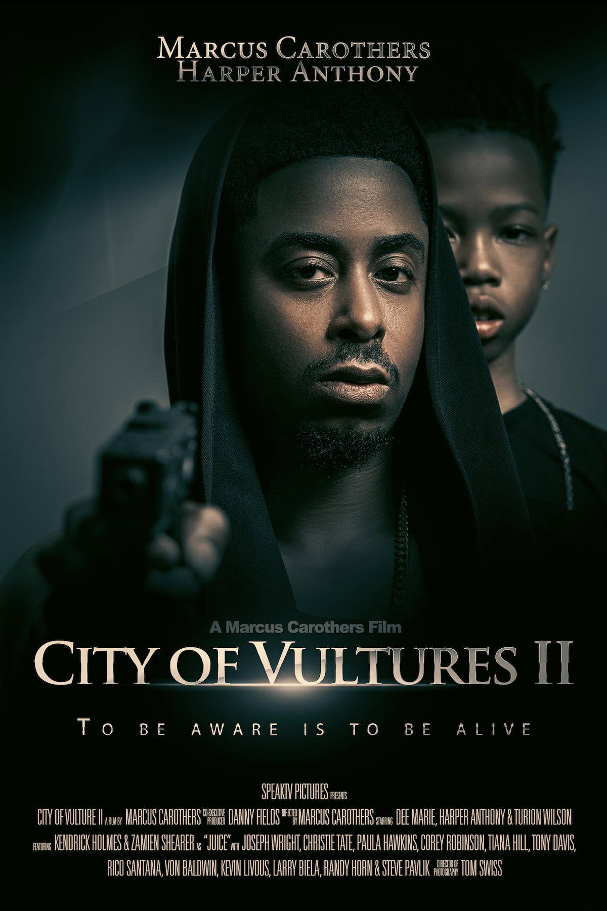 Vulture City 2