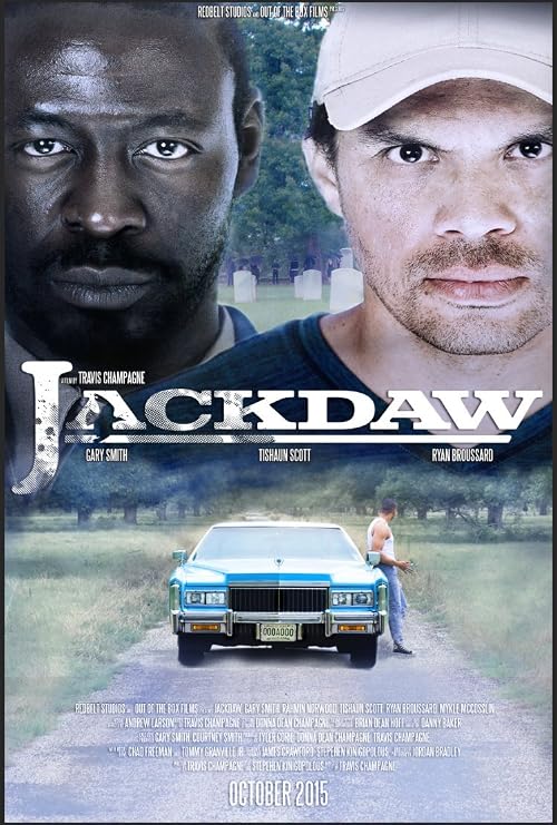 Jackdaw
