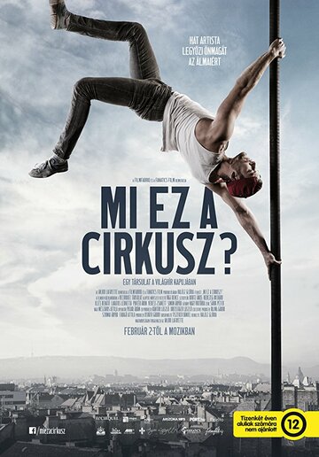 Mi ez a cirkusz?