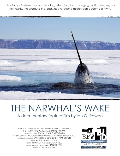 The Narwhal's Wake