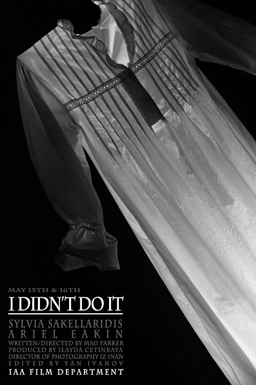 I Didn't Do It