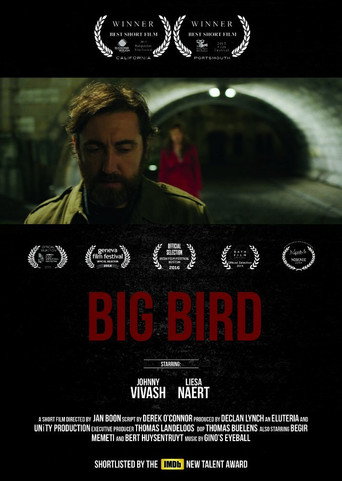 Big bird