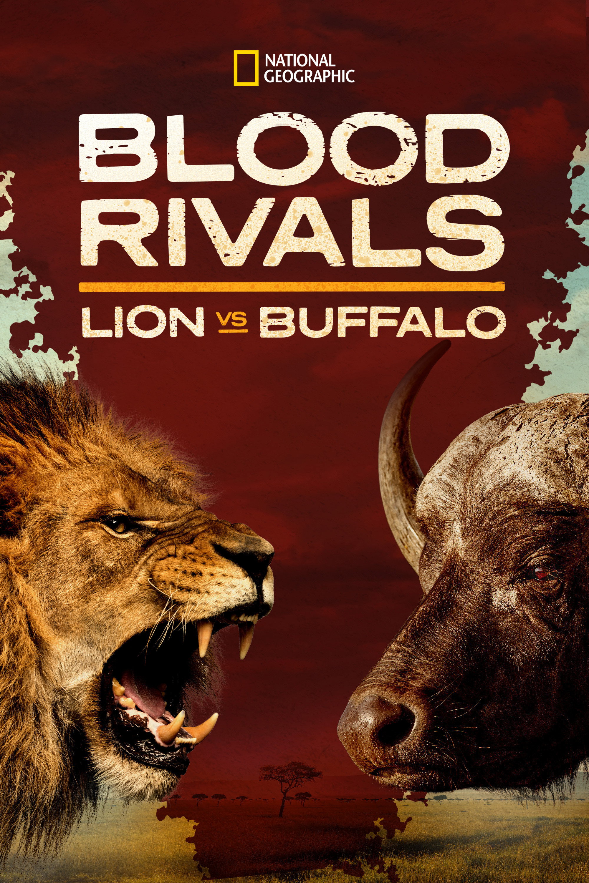 Blood Rivals Lion vs Buffalo: Buffalo Fortress