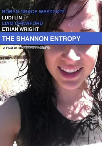 The Shannon Entropy