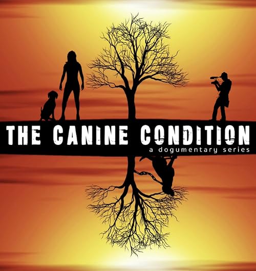 The Canine Condition