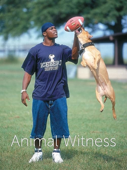 Animal Witness