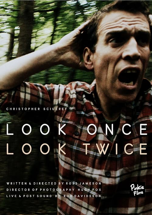 Look Once Look Twice