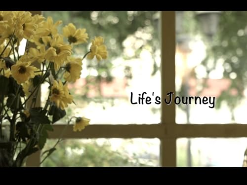 Life's Journey