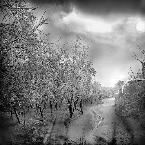 Dead of Winter