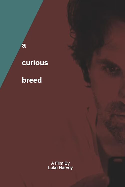 A Curious Breed
