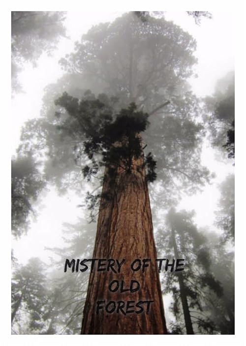 Mysteries of the Old Forest