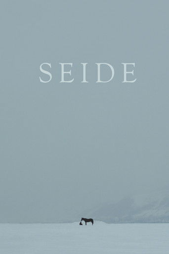 Seide