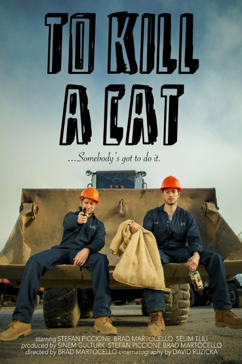 To Kill a Cat