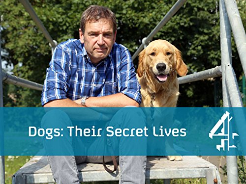Dogs: Their Secret Lives