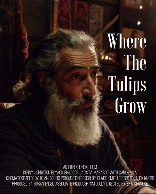 Where the Tulips Grow