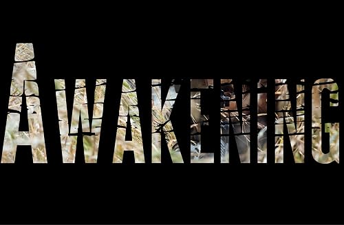 Awakening: Transition of a Soldier