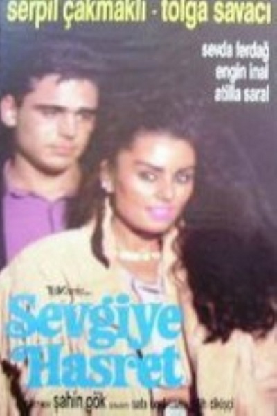 Sevgiye Hasret