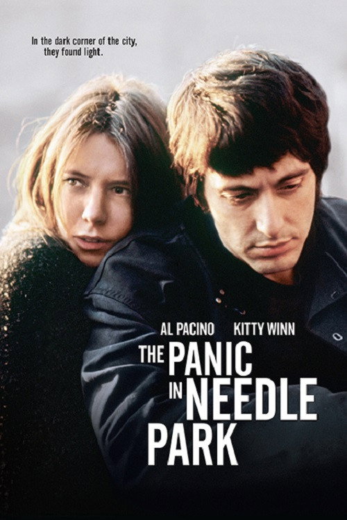 The Panic in Needle Park