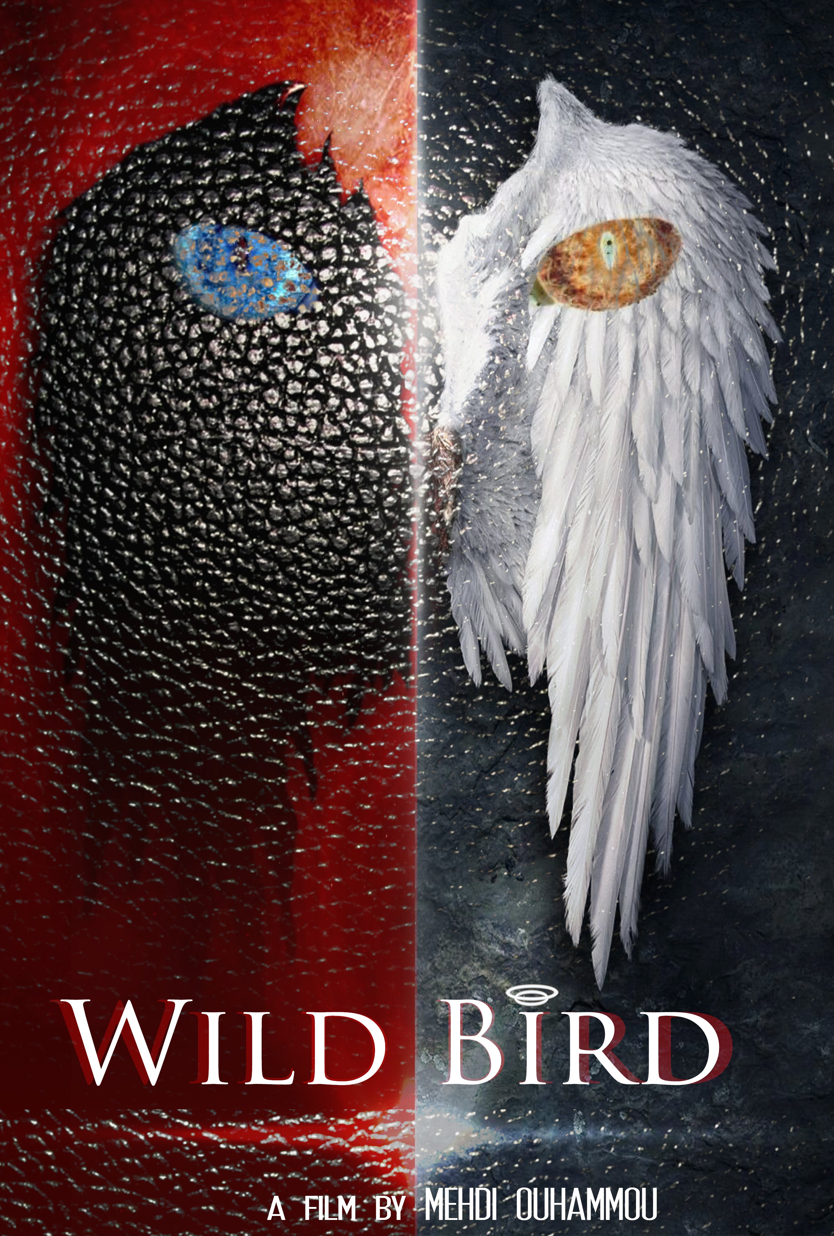 Wild Bird