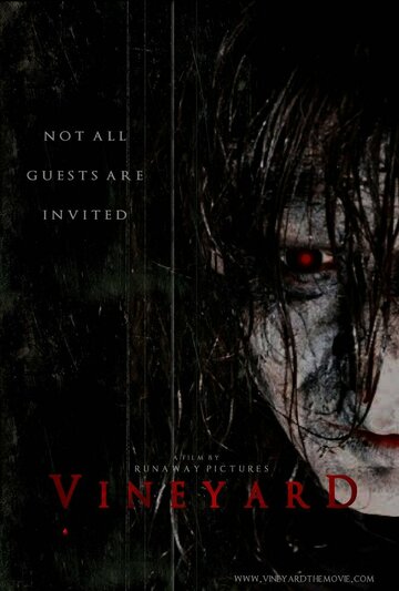 The Vineyard