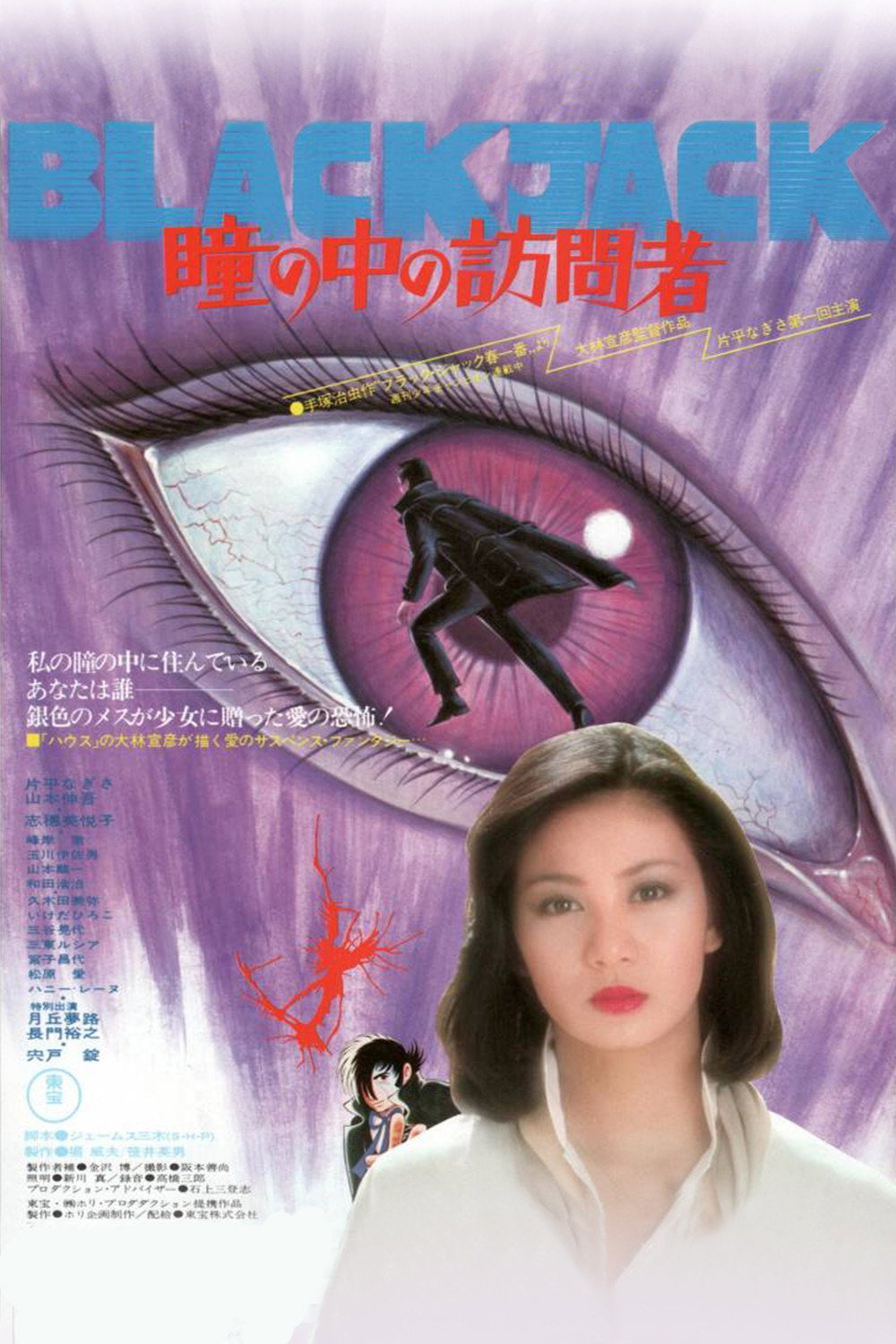 Hitomi no naka no houmonsha
