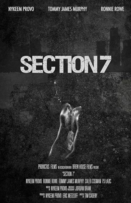 Section 7