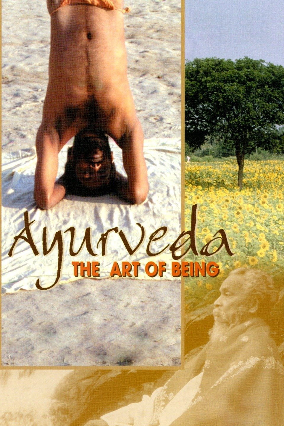 Ayurveda - Die Kunst des langen Lebens
