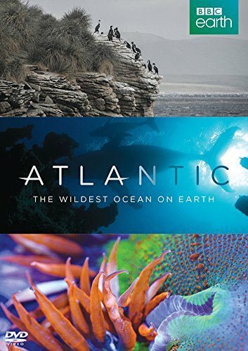 Wilder Atlantik - Ozean der Extreme