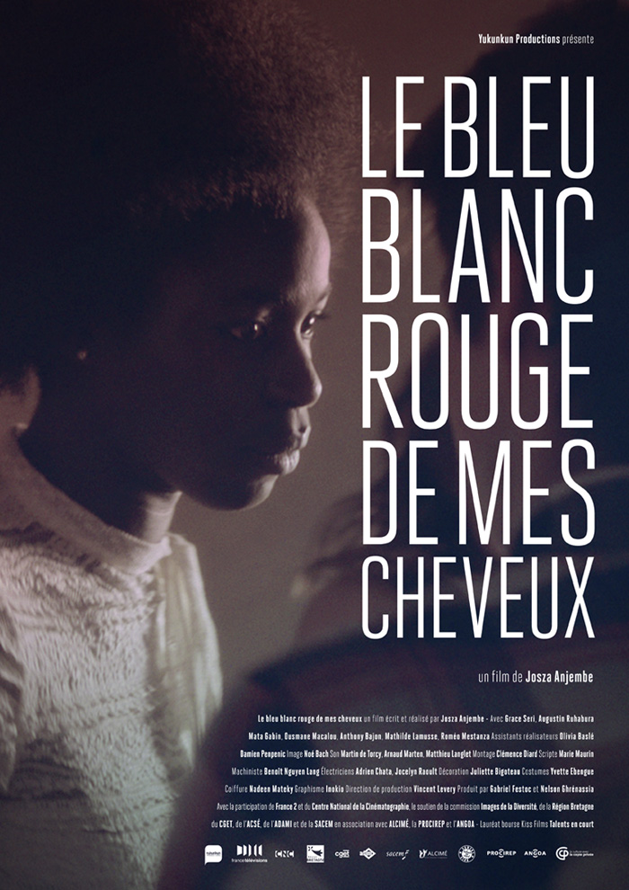 Le bleu blanc rouge de mes cheveux