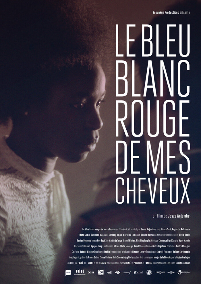 Le bleu blanc rouge de mes cheveux