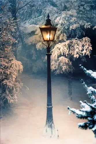Die Chroniken von Narnia: Der König von Narnia