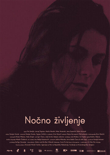 Nocno zivljenje