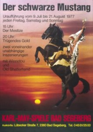 Der schwarze Mustang