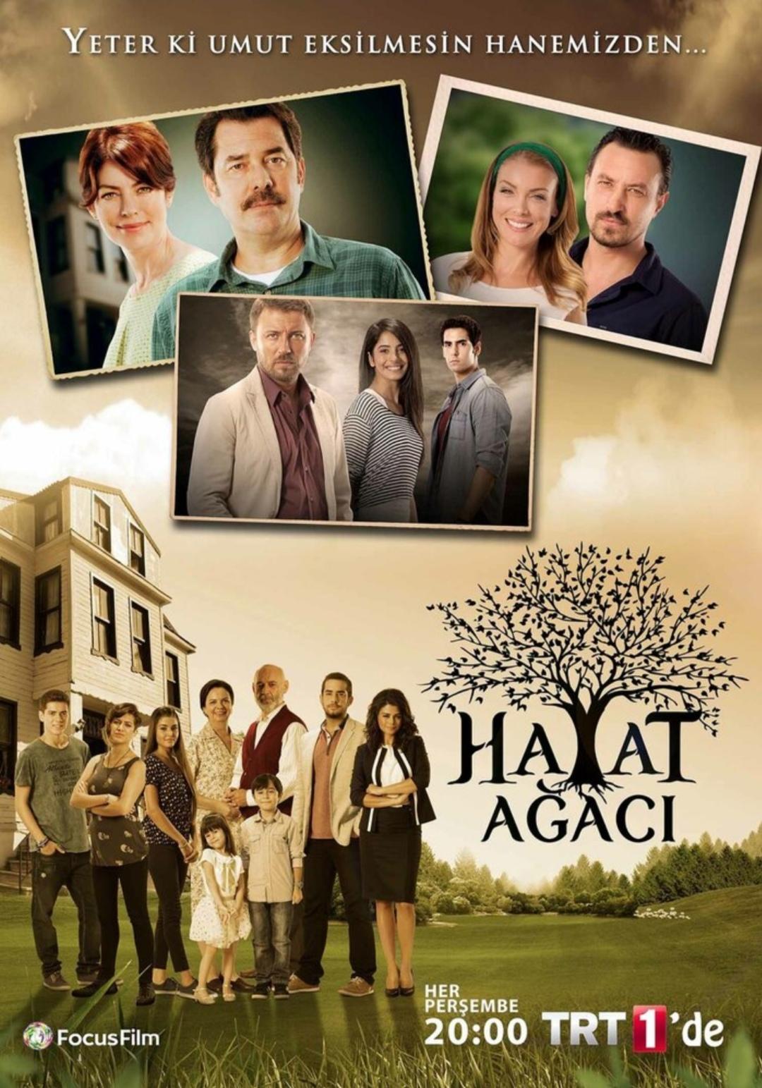 Hayat Agaci