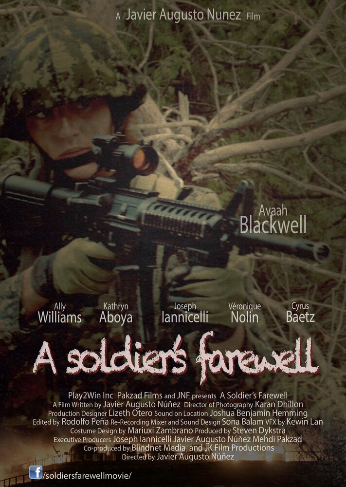 A Soldier's Farewell