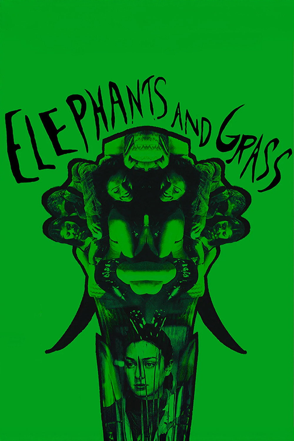Elefanten und Gras