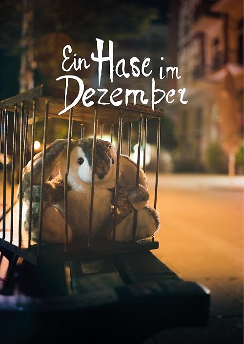 Ein Hase im Dezember
